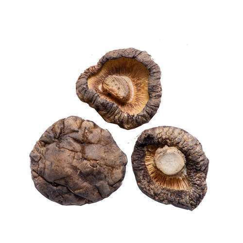 Crisp and delicious vacuum fried mushroom oyster mushroom dried
