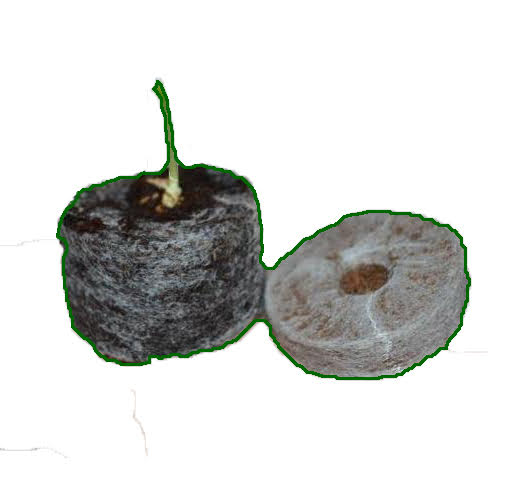 Coir Peat Brick Pith Agriculture Hydroponic Planting Organic Compressed Coco Multi-Span Agricultural Green for Best Harvesting