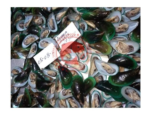 FROZEN GREEN MUSSEL SHELL