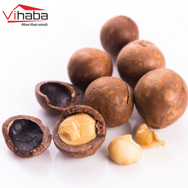 Wholesale Macadamia nut Organic Macca nuts Nut & Kernel Snacks Macadamia Raw