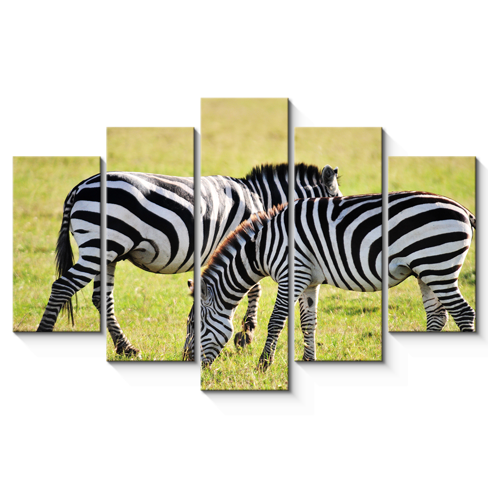 5 PCS Gallery Wrap Animal African Tropical Double zebra Multicolor Photography Print Framed Stretched Canvas Wall Art