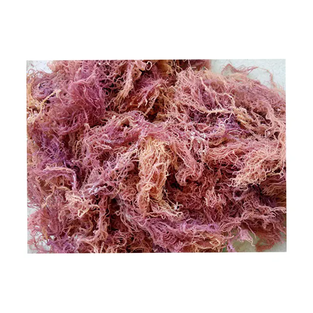 Best Quality Purple Sea moss/ Irish moss/ Euchema Cottonii seaweed from Vietnam (Amy +84 383 655 628)