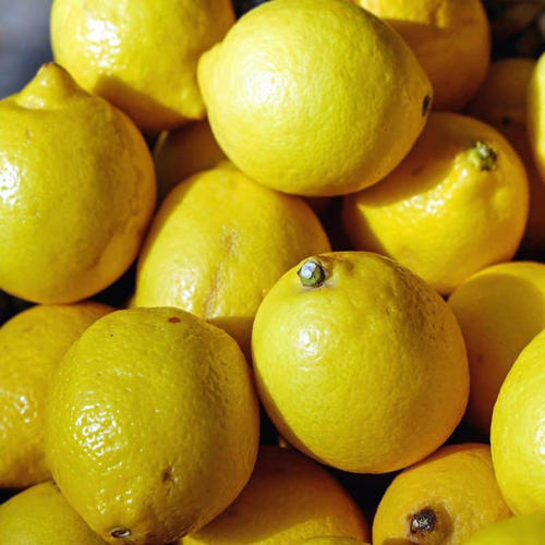 Natural Fresh Lime Fresh Lemon Fresh citrus lemon From Africa