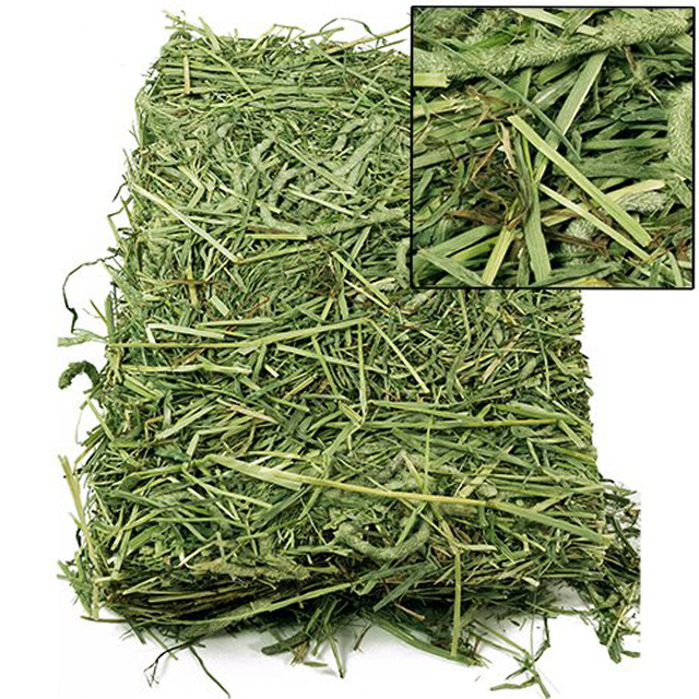 Alfafa Hay Animal Feeding Stuff Alfalfa, hay/alfalfa hay pellets Timothy Hay/ Alfafa in Bales Best Super Top Quality