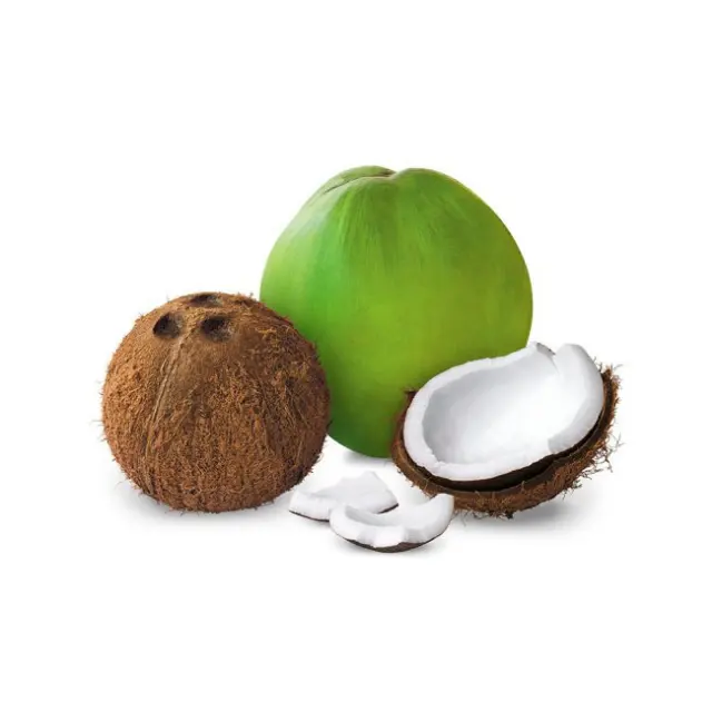 Fresh Young Coconut- Wholesales White Tropical Airport OEM Sweet Vietnam Style Packing Bai Pulp Color Weight Eco Pieces