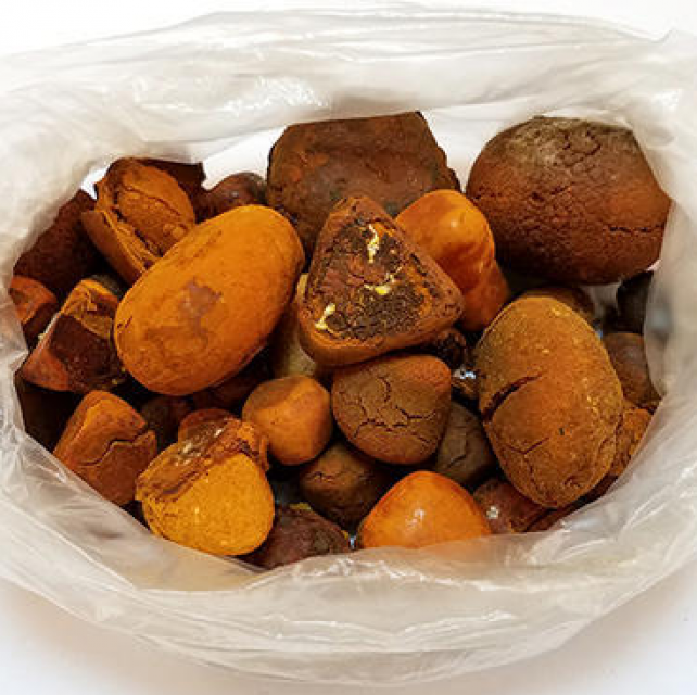 Корова ox gall камень