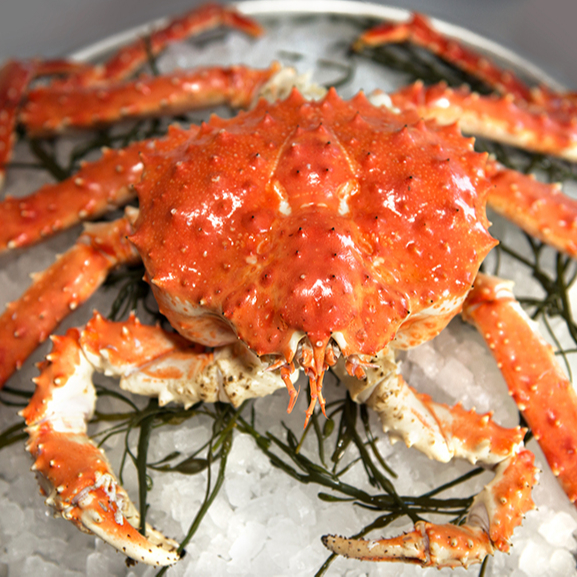 Affordable!! Red King Crab Fresh/Frozen/Live Red King Crabs, Soft Shell Crabs, Blue Swimming Crabs &Live Mud Crab