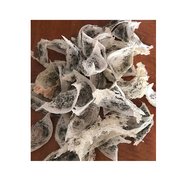 Natural Bird's Nest Grede A Beauty and Personal Care Low Fat Premium Product from South Thailand For 100% Export