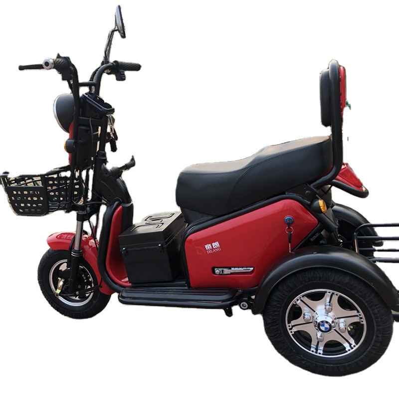 800W small city ebike electric tricycle for 2 can go into elevator