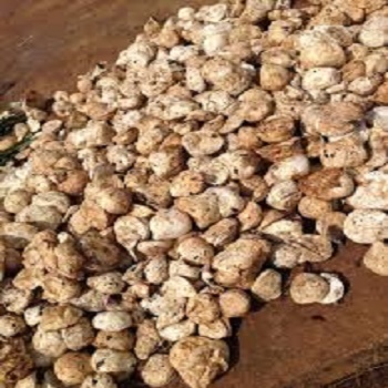 Natural Rubber Cup Lump with DRC of 62%-70% From CMA/Ghana