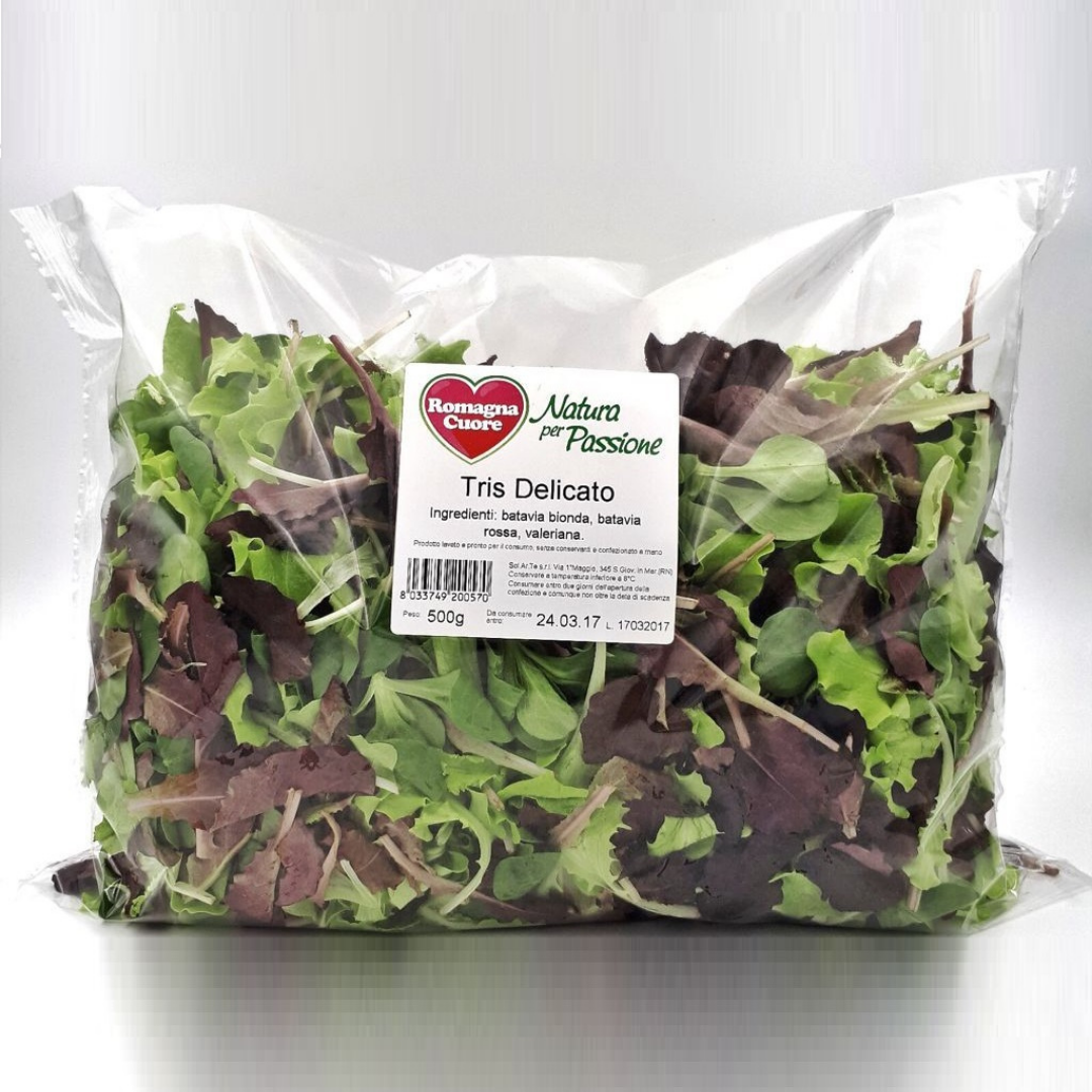 Hot Selling Delicious Fresh Cut Vegetables Natural Mixed Lettuce Mixed Salad 100% Italian Packaged Sealed
