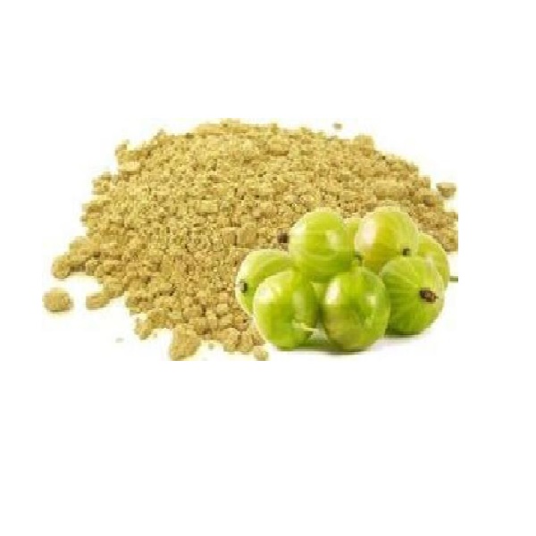 Качество Primum | Оптовые поставки порошка Amla | 20 "контейнер