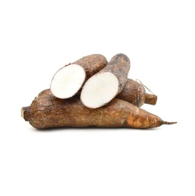 Available Bulk Stock Of Fresh Vegetables Cassava At Lowest Prices