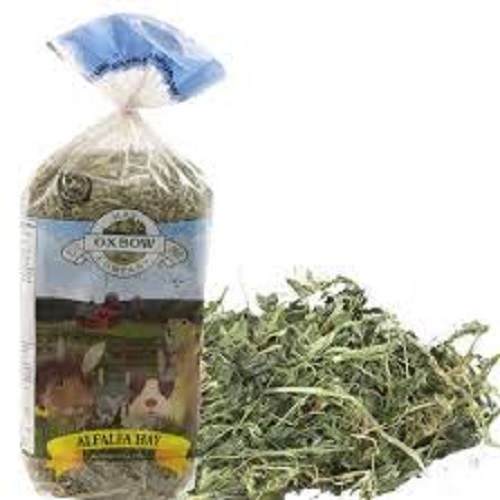 Alfafa Hay for Animal Feeding Stuff