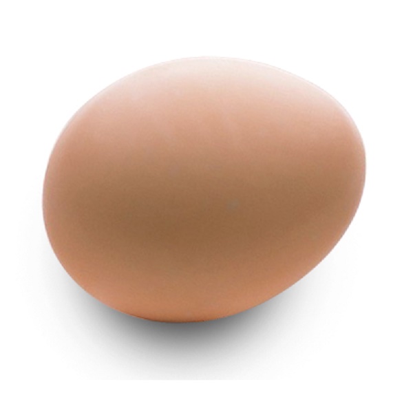 Broiler hatching eggs Ross 308 and Cobb 500 and Chicken Table Eggs