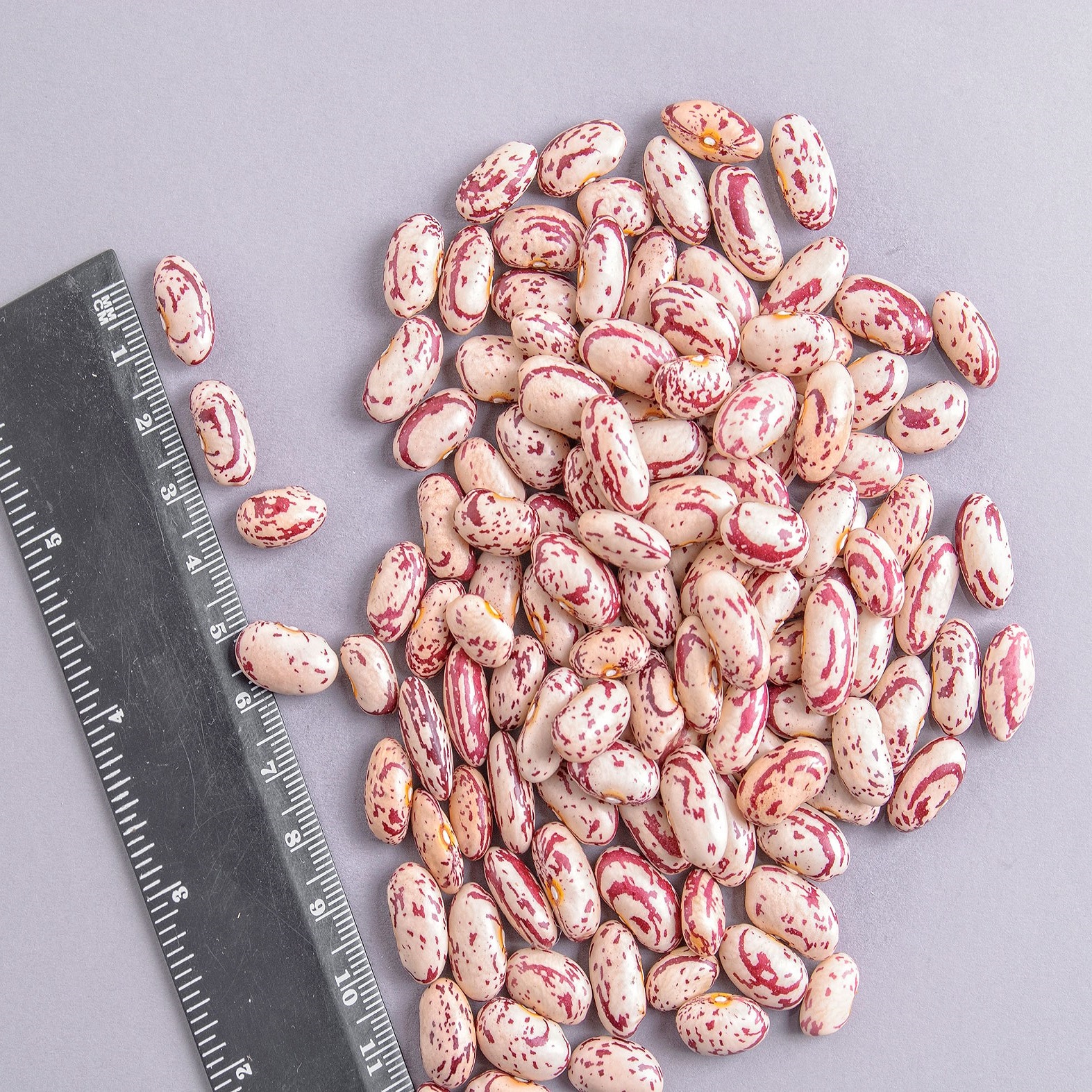 Organic Pinto Beans Sugar Beans / Kidney Beans / Red Kidney Beans