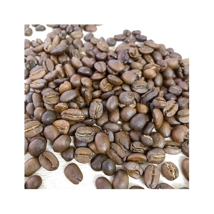 Vietnam TOP SELLING Coffee Beans HIGH QUALITY 18 scr Roasted Coffee Beans Blend Coffee