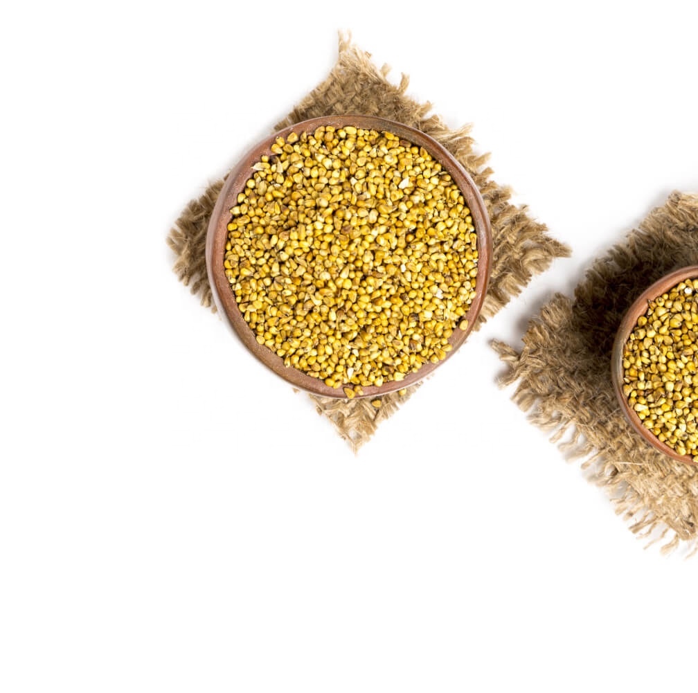 Best Quality Natural Organic Millet Seed at Competitive Price