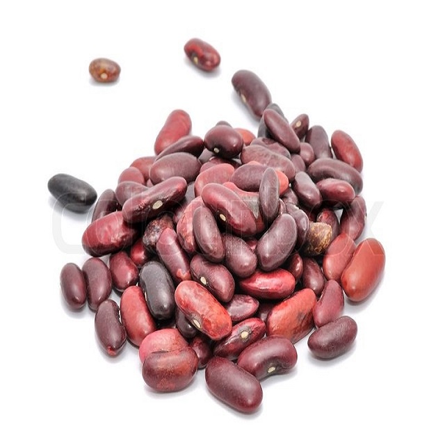 Pulses Kidney Beans
