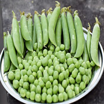 Frozen Green Peas / Wholesale FD Green Peas Frozen Bag OEM