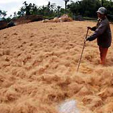 Wholesale 100% Organic Coconut Fiber Peat Mesh Rope Good Price Recyclable Yellowish-Brown Coconut Fibre Coco Coir Fiber