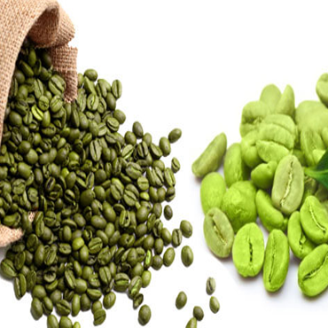 Вьетнамские зеленые кофейные зерна robusta-напиток для похудения-Whatsapp: + 84-845-639-639