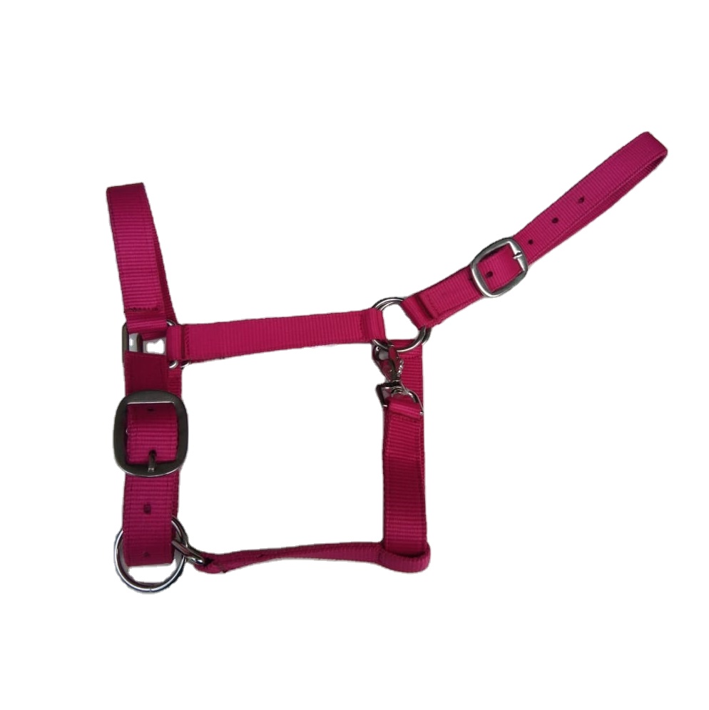 Horse Halter
