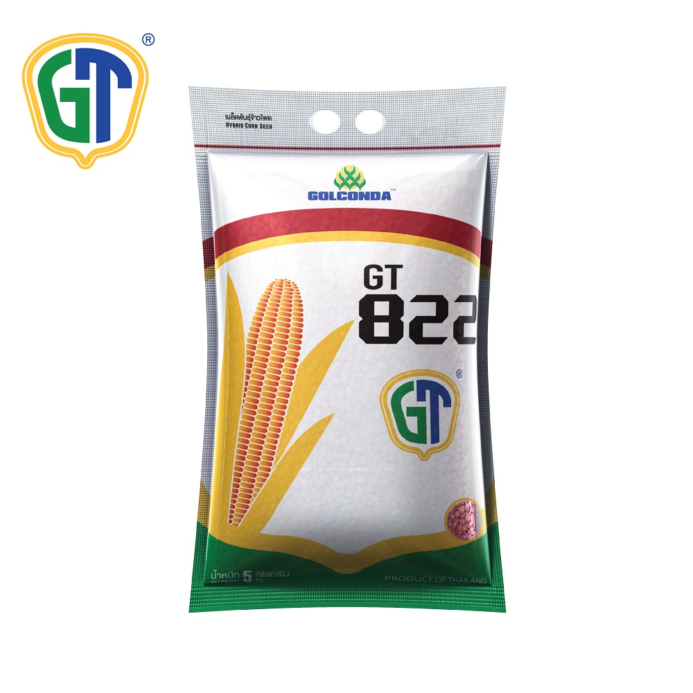 GT822 F1 Hybrid Corn Seeds with Phytosanitary Certificate From Thailand
