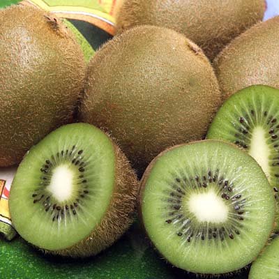 Wholesale Hayward Fresh Kiwi Fruit For Sale