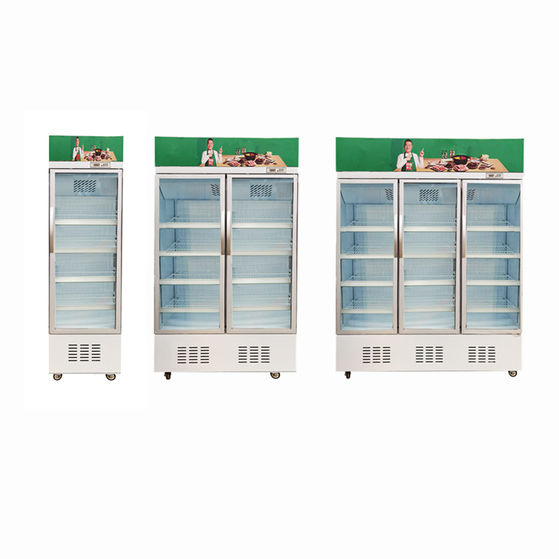 2021 HOT SALE Wholesales Glass Door Buy Display Fridges Refrigerators Equipment Bottle Visi Cooler For Sale