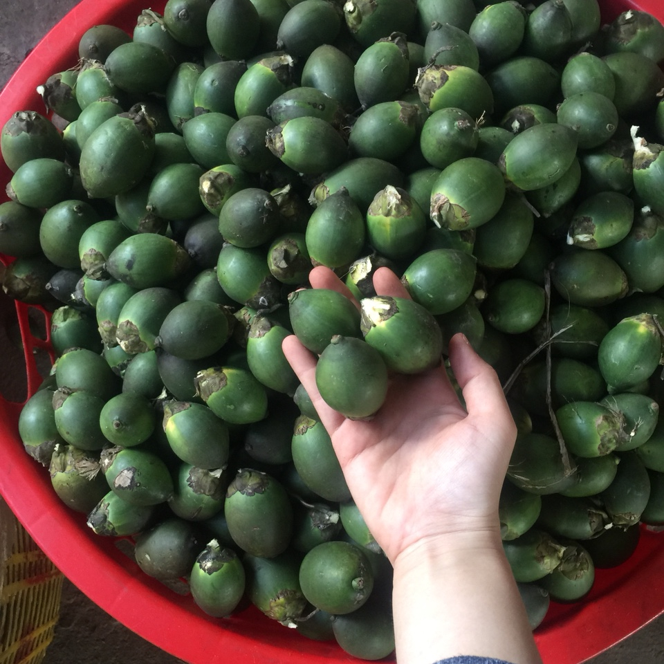 Цельная и разделенная высушенная BETEL NUT/whatsapp: + 84 845 639 639