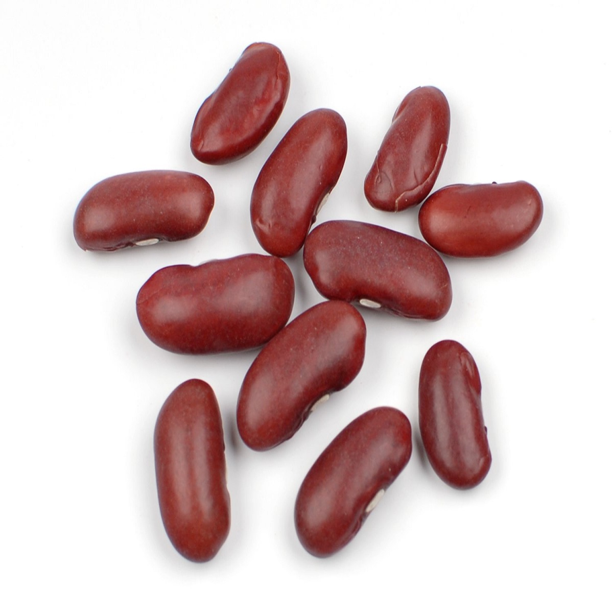 Kidney Beans