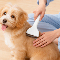 Peigne démêlant pour animaux de compagnie en ABS et acier 304, fourni par l'usine, pour le démêlage du sous-poil des chiens et des chats, accessoires de toilettage