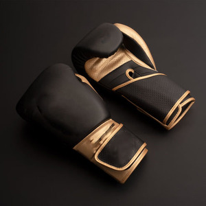 Gants de boxe conçus pour l'entraînement professionnel, gants de sparring pour les jeunes, vêtements de sport durables, équipements de boxe confortables, gants d'entraînement - Product Image 5
