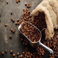 Premium Coffee Bean 100% Robusta Ventas a granel 20kg Sabor suave Granos de café tostados