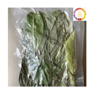 Feuilles de Graviola séchées en vrac, qualité thé, provenance du Vietnam, feuilles de corossol - Product Image 3