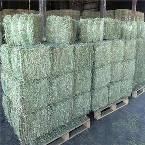 Eficiencia de alimentación de heno de alfalfa y alimentación animal a la venta - Product Image 6