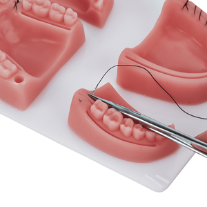 Almohadilla de sutura oral 3D dental, modelo de sutura de silicona de 32 mm de grosor, agarre ergonómico manual para práctica de entrenamiento con instrumentos quirúrgicos - Product Image 6