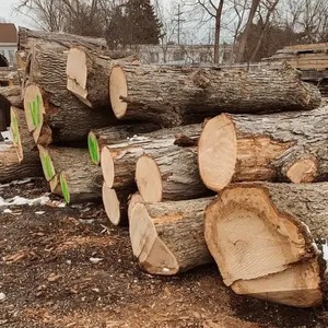 Bois de charpente haute résistance séché au four pour poutres, treillis et projets de charpente - Product Image 2