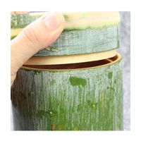 TASSE EN BAMBOU DU VIETNAM POUR LE THÉ À LA CRÈME GLACÉE TASSE EN BAMBOU VERT ÉCOLOGIQUE LOGO PERSONNALISÉ ET ÉTIQUETTE PRIVÉE À FAIBLE COÛT