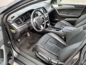 2017 Sonata VII (LF) <b>Restyling</b> Low Mileage Sound Engine AUTOMATIC Transmission Panoramic roof lights Ready to - Product Image 6