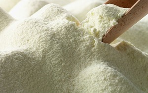 Leche en polvo entera fresca, suministrada a granel para los mercados minoristas y de distribución - Product Image 2