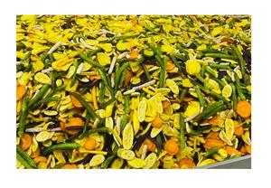 Fruits secs mélangés de la vente en gros vietnamienne avec des fruits et légumes naturels bons pour l'exportation de haute qualité jamais - Product Image 2