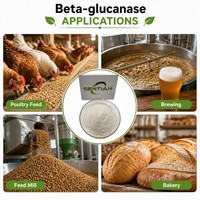 Poudre d'enzyme bêta-glucanase de qualité alimentaire 100 000 U/g pour l'alimentation animale et la brasserie