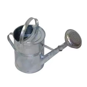 Fabricantes y exportadores de diseño de tendencia Regadera de hierro para interiores y exteriores Lata de agua de plantas de color azul de primera calidad - Product Image 2