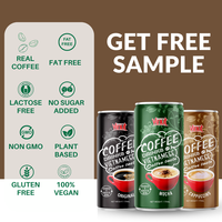 Boisson Énergisante au Café Arabica Robusta Mocha 170ml en Canette Sans Gluten Sans OGM Marque Privée Échantillon Gratuit OEM ODM