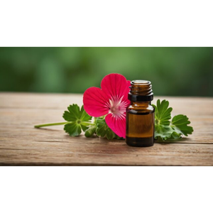 Aceite Esencial de Geranio 100% Puro de NATURES NATURAL INDIA, Antienvejecimiento, Antiarrugas, Astringente, Revitalizante de la Piel, Destilado al Vapor - Product Image 3