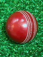 Pelota de Cricket YouthKing 43/4 OZS de Cuero Clásica para Entrenamiento, para Jóvenes de 8 a 12 Años, Costuras Tradicionales Duraderas