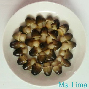 Hongos de Paja Salados Premium con Precio de Mayoreo desde Vietnam - Alta Calidad, Empaque a Granel, OEM Disponible/ Sra. Lima - Product Image 5