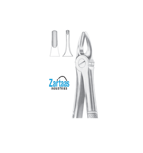 Fórceps de extracción de acero inoxidable de alta calidad incisivos superiores y caninos Fig 3 exportadores y fabricante - Product Image 1